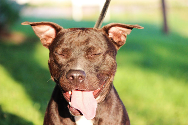 來自社交媒體的圖片如何幫你在網絡上脫穎而出