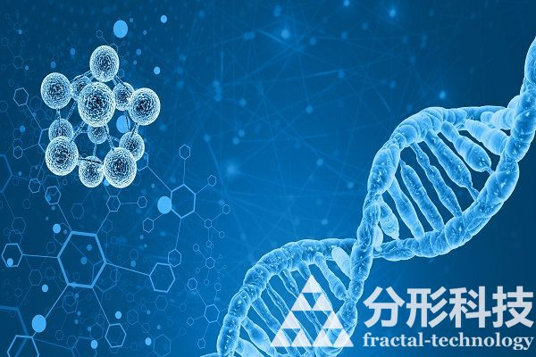 醫(yī)院網(wǎng)站建設(shè)：打造數(shù)字化醫(yī)院新名片